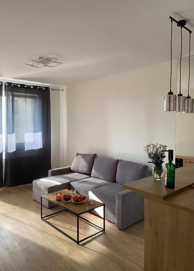 Modern Apartments & Free Parking ゴジュフ・ヴィエルコポルスキ エクステリア 写真