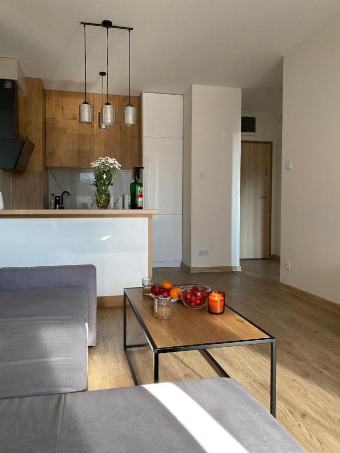Modern Apartments & Free Parking ゴジュフ・ヴィエルコポルスキ エクステリア 写真